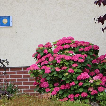 Ferienwohnung-Wieber Kappel-Grafenhausen Luaran gambar