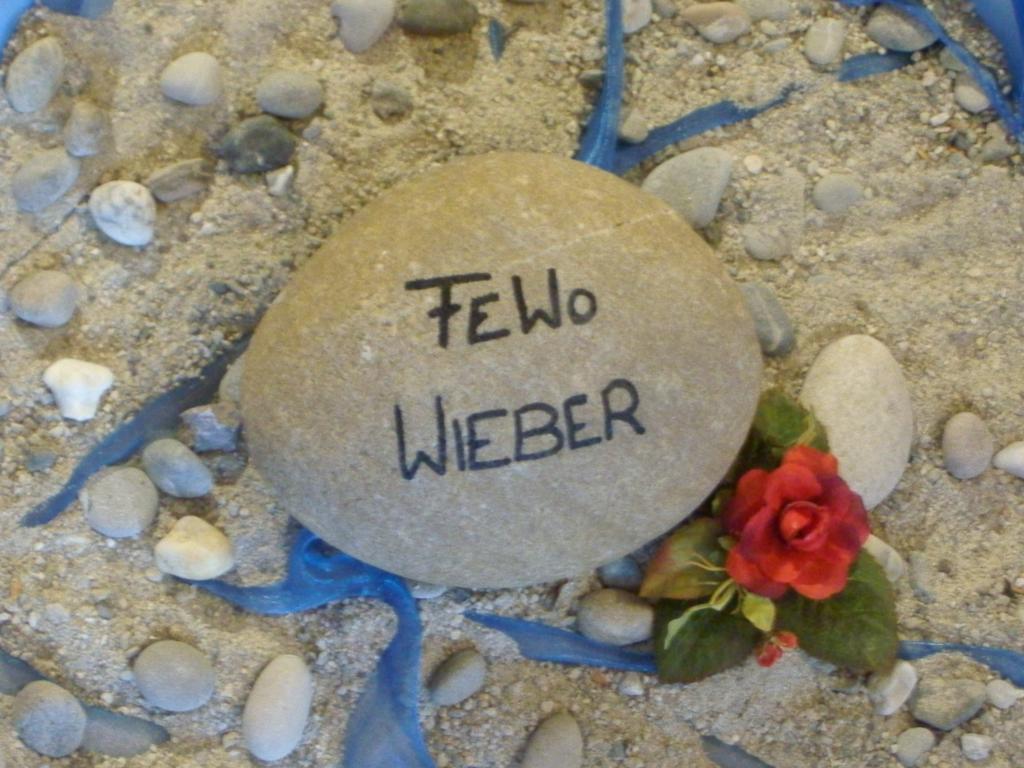 Ferienwohnung-Wieber Kappel-Grafenhausen Luaran gambar