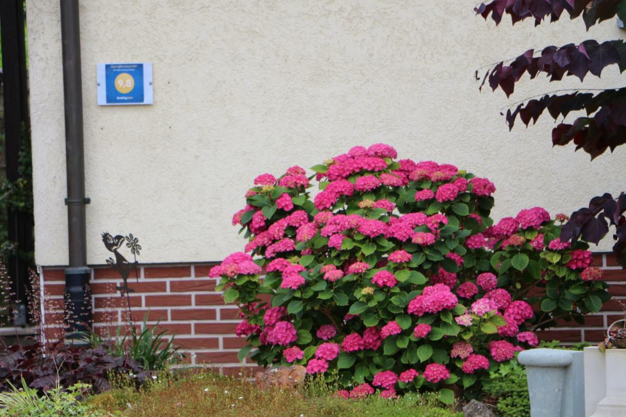 Ferienwohnung-Wieber Kappel-Grafenhausen Luaran gambar